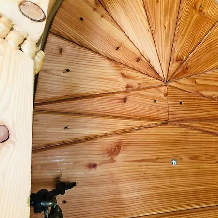 Stara Chalpa Ozna * Sól