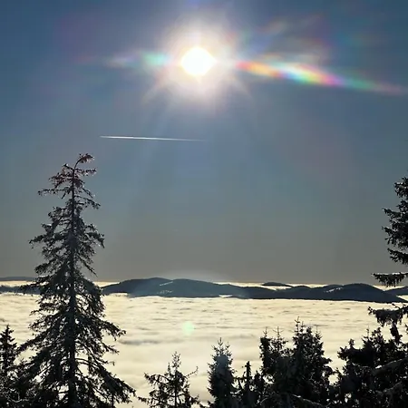 Chalet Stara Chalpa Ozna *