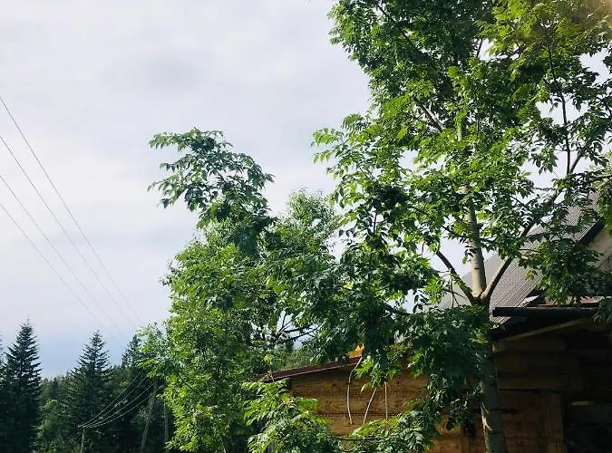 Stara Chalpa Ozna בקתה