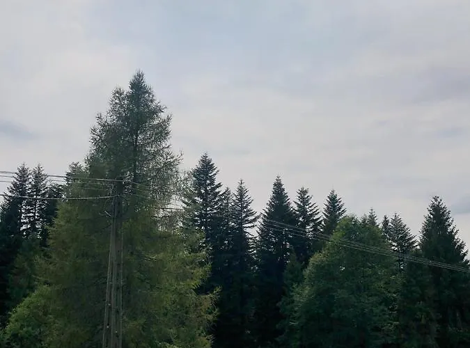 Stara Chalpa Ozna Sól