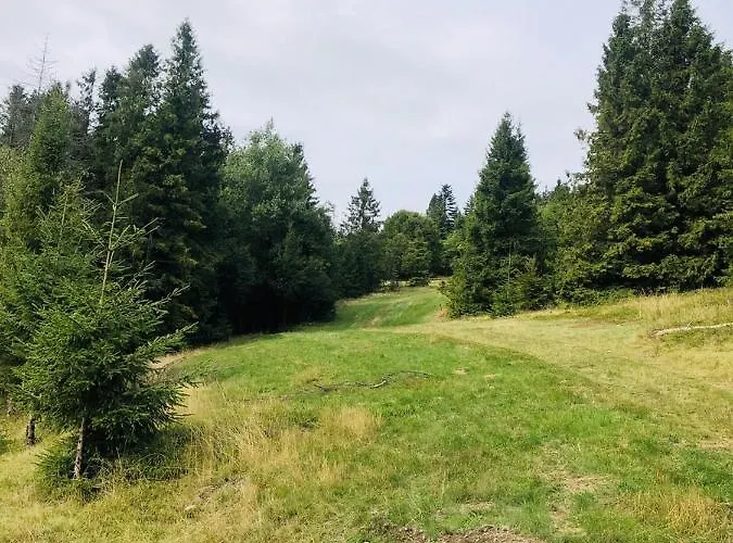 Stara Chalpa Ozna בקתה *