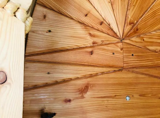 Stara Chalpa Ozna * Sól