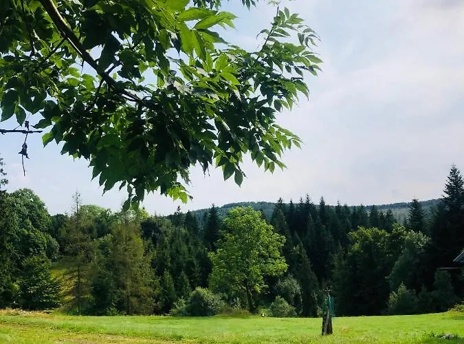 Stara Chalpa Ozna Sól